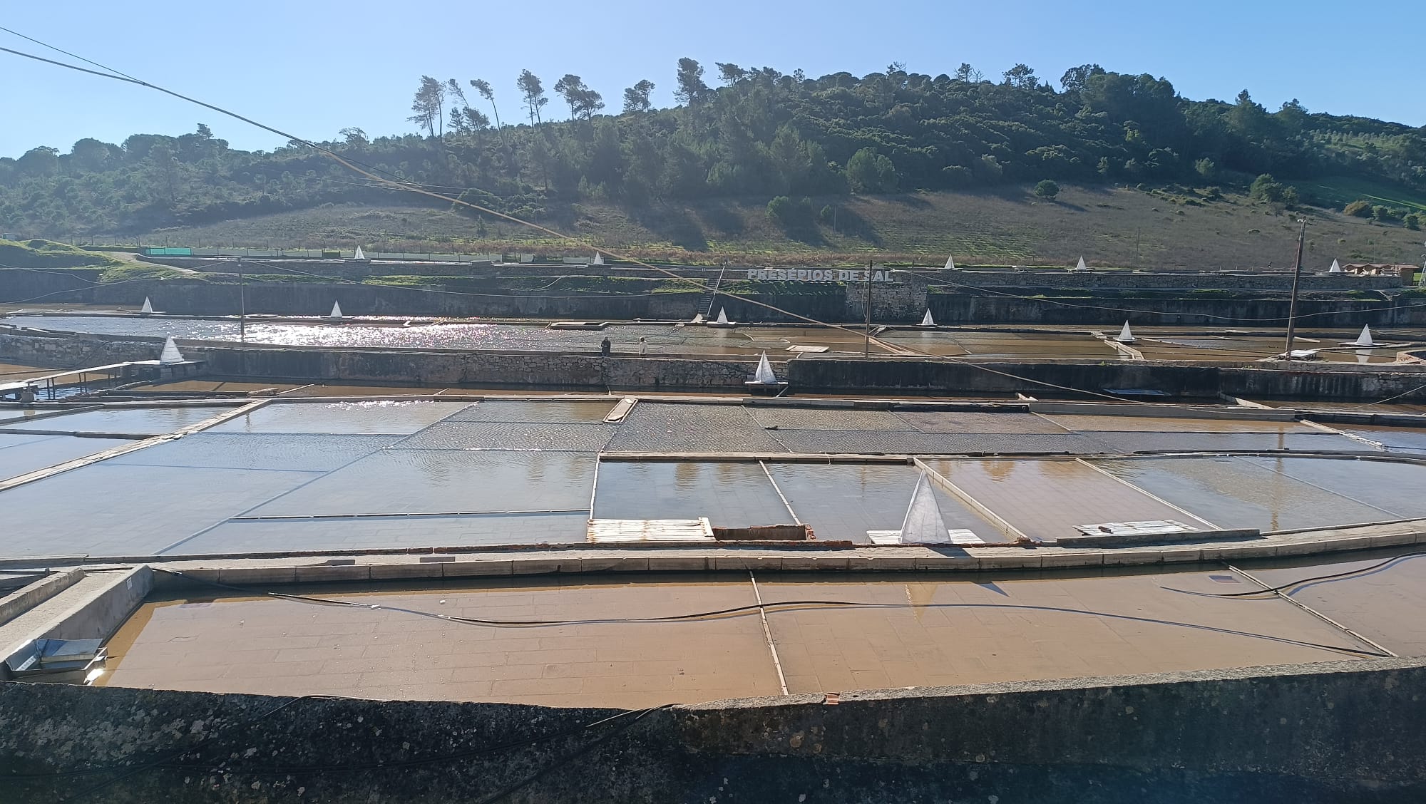 Salinas De Rio Maior